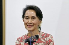 Myanmar : réforme du Comité mixte de dialogue sur la paix de l'Union