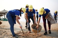 Nam Dinh: Préparation de la Semaine maritime et insulaire du Vietnam 2016