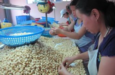 La noix de cajou vietnamienne est très appréciée