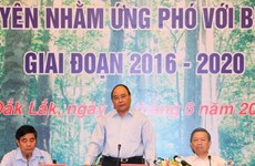 Mobiliser les synergies pour le développement durable des forêts du Tay Nguyen