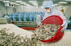 Brexit : tendance à la baisse des exportations de crevettes du Vietnam 