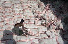 La Thaïlande mettra aux enchères 3,7 millions de tonnes de riz en juillet