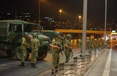 Le Vietnam veille à la sécurité de ses citoyens en Turquie