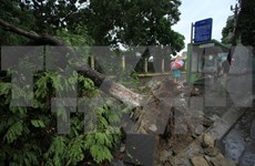 Le typhon Mirinae fait un mort et plusieurs blessés dans des localités du Nord