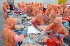 Augmentation possible des exportations de crevettes cette année 