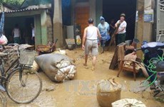Neuf personnes portées disparues dans les crues à Lao Cai