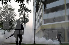 Nouveau cas de virus Zika signalés à Singapour