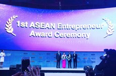 Une femme vietnamienne reçoit  le Prix d'"Entrepreneur de l'ASEAN 2016"