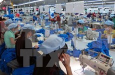 ALE Vietnam-Union économique eurasienne : 5.000 lignes tarifaires seront supprimées