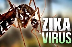 Ho Chi Minh-Ville: découverte de 17 cas de virus Zika