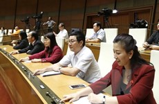 L’AN adopte la résolution sur le plan de développement socio-économique pour 2017