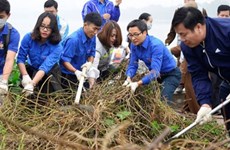 Le vice-PM Vu Duc Dam participe à la campagne «Bon geste pour l’environnement»