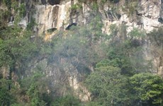 Thanh Hoa : la caverne Con Moong reconnue vestige national spécial 