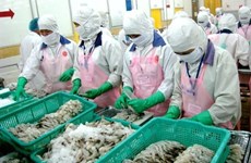 Les crevettes vietnamiennes bien appréciées au Japon, en Chine et aux Etats-Unis 