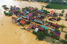 Le JPP soutient l’agriculture biologique et la prévention des catastrophes au Vietnam