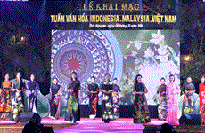 Ouverture de la Semaine culturelle Malaisie-Indonésie-Vietnam à Thai Nguyen