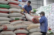 Octroi gratuit de plus de 1.000 tonnes de riz à Phu Yên 