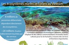 Les écosystèmes marins et côtiers au Vietnam