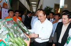 Le Premier ministre veut faire du Vietnam un pays puissant dans l'agriculture