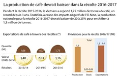 La production de café devrait baisser dans la récolte 2016-2017