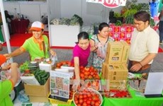 Le programme «Connexion verte en faveur d’une agriculture durable» débute à Hô Chi Minh-Ville