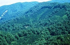 Lancement d'un projet de gestion durable des forêts