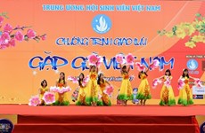 Les étudiants étrangers saluent le Têt traditionnel vietnamien