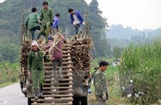Le Vietnam s’intéresse toujours à la réduction durable de la pauvreté