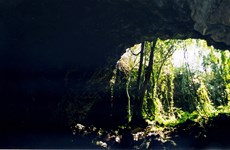 Des objets préhistoriques découverts dans l​es grottes volcaniques à Dak Nong 