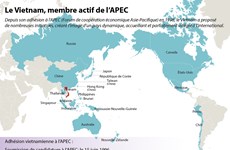 Le Vietnam, membre actif de l’APEC