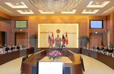 Vietnam-Russie : renforcement des relations de partenariat entre les localités
