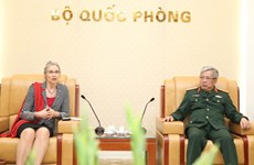 Vietnam-Pays-Bas : coopération dans le maintien de la paix