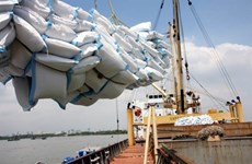 Baisse des exportations de riz au premier trimestre 