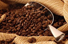 Le café, premier produit vietnamien d’exportation vers l’Algérie