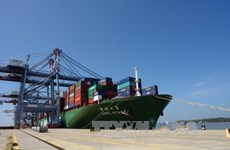 Un cargo de 160.000 tonnes mouille au port de Tan Cang Cai Mep-Thi Vai