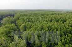 Programme national de réduction de la déforestation