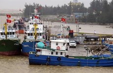  Le rétablissement des activités de pêche suite au scandale de Formosa
