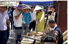 Ouverture de la Journée culturelle des ethnies du Vietnam