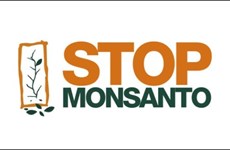 Deux eurodéputés demandent une commission d'enquête sur Monsanto