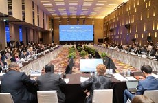 APEC: Ouverture à Hanoï de la SOM2 et des réunions connexes