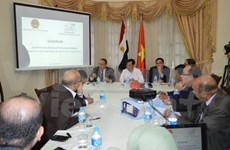 Colloque sur les opportunités, défis et perspectives de coopération Vietnam-Egypte