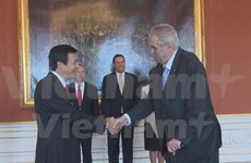 L'ambassadeur du Vietnam en R. tchèque présente ses lettres de créance 