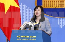 Le point sur les mesures de protection des citoyens vietnamiens à l'étranger 
