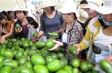 Ouverture du festival des fruits du Nam Bo 2017