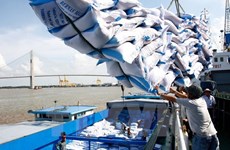 Riz: les exportations du Vietnam en Russie augmentent de 700% 