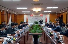 Vietnam et Turquie ciblent 4 milliards de dollars en 2020