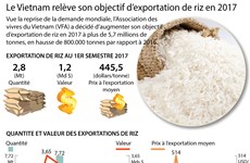 Le Vietnam relève son objectif d’exportation de riz en 2017