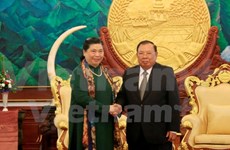 Les dirigeants laotiens reçoivent la vice-présidente de l’AN Tong Thi Phong