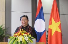 Echanges professionnels entre les deux bureaux de l'AN du Vietnam et du Laos 