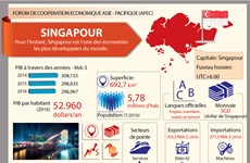 [Infographie] Membres du Forum de coopération économique Asie - Pacifique: Singapour